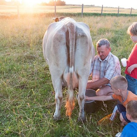 Agroturystyka Lolkowo Srokowo Exteriér fotografie