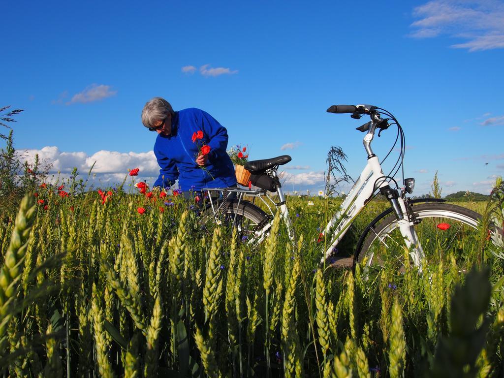 Agroturystyka Lolkowo Srokowo Exteriér fotografie