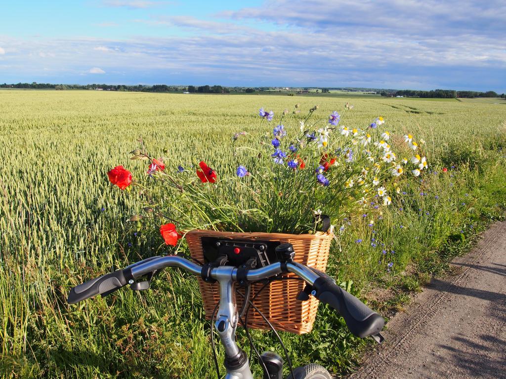 Agroturystyka Lolkowo Srokowo Exteriér fotografie