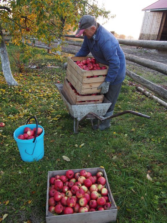 Agroturystyka Lolkowo Srokowo Exteriér fotografie