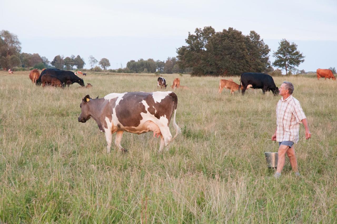 Agroturystyka Lolkowo Srokowo Exteriér fotografie